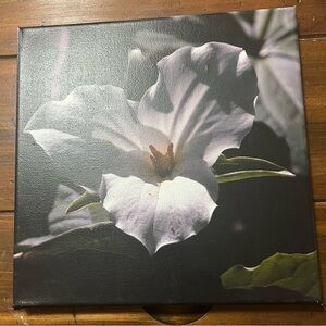 Original photo on canvas - ready to hang!